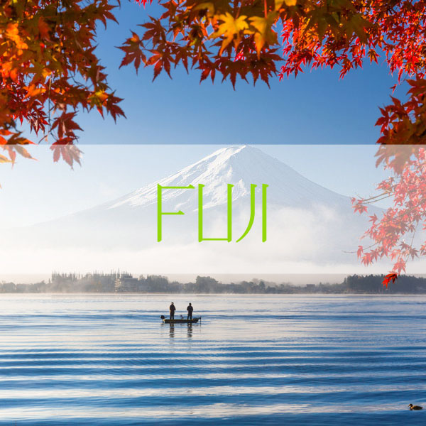 Fuji - kolekcja VINOVE - family fragrances