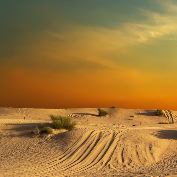 dakar-desert