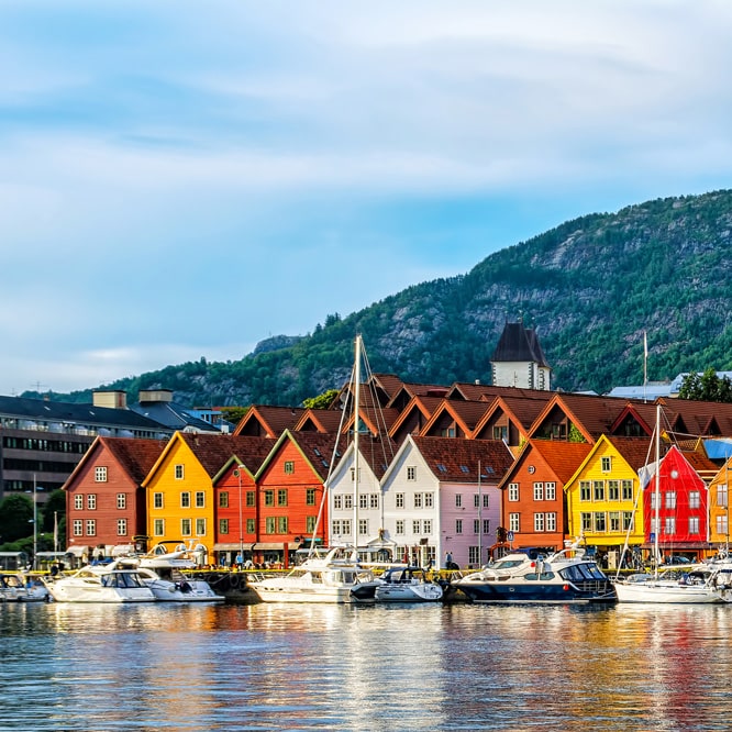 port-vinove-prestige-kolekcja-oslo-nature-wood